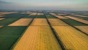 В Україні вже діє 665 земельних угод